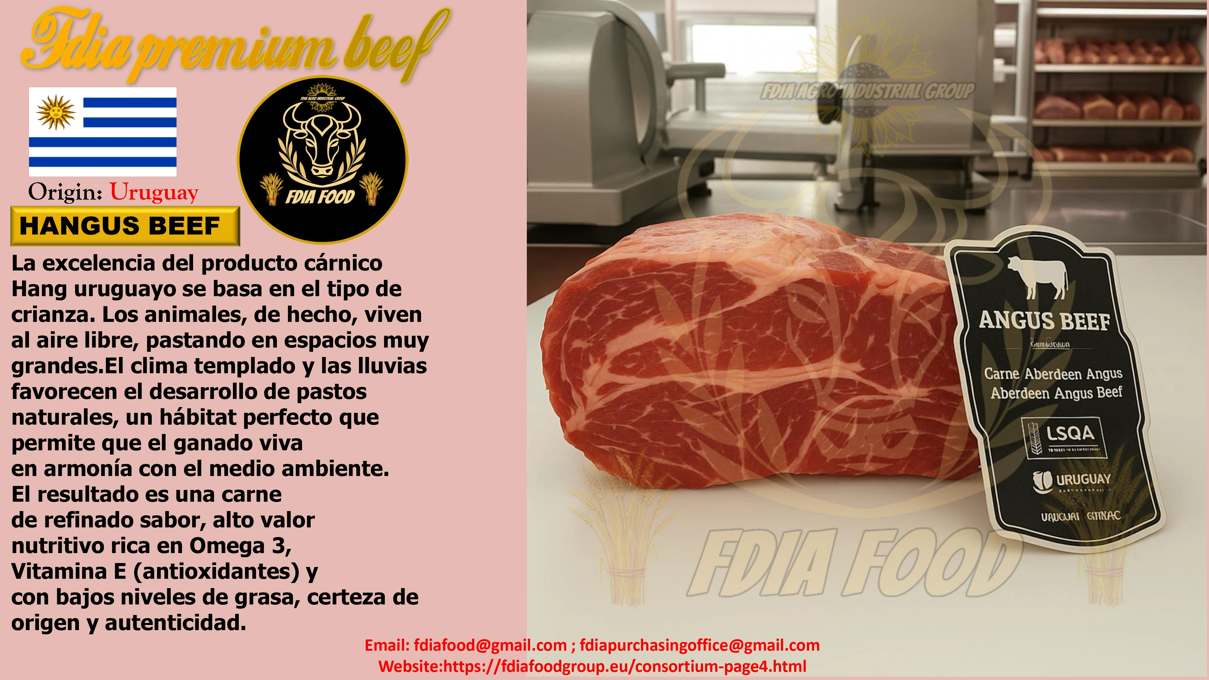 meat (24)